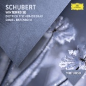 Schubert: Winterreise, D. 911 artwork