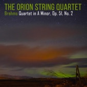 Brahms: String Quartet No. 2 in A Minor, Op. 51 artwork