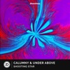 Calumny - Shooting Star (Extended Mix)
