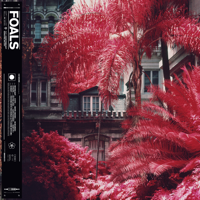 Foals - Part 1 Everything Not Saved Will Be Lost artwork