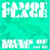 Camouflage Sounds of House, Vol.15