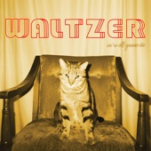 Waltzer - We're All Gunna Die