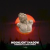 Sterbinszky & Vasco - Moonlight Shadow (feat. David Schwartz)