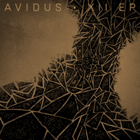 Avidus - XII - EP artwork