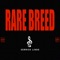 Rare Breed (feat. 90culture) - Serrick Lindo lyrics