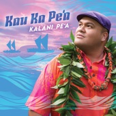 Kau Ka Pe'A artwork