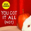 You Got It All (NOT) - Single