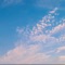 Cielos azules - TRL lyrics