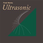 Field Works: Ultrasonic