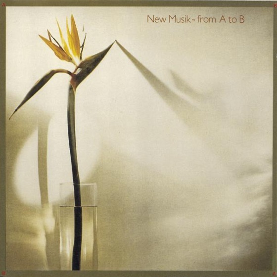 Cover artwork for The Safe Side