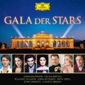 Gala der Stars artwork