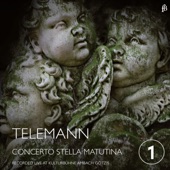 Telemann: Concertos (Live) artwork