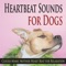 Whitenoise Heartbeats to Calm Dogs - The Kokorebee Sun lyrics