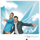 Fly Project artwork