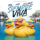 Siempre Viva (Remix) artwork