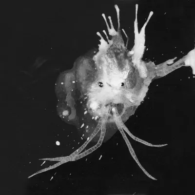 Route One - Sigur Ros