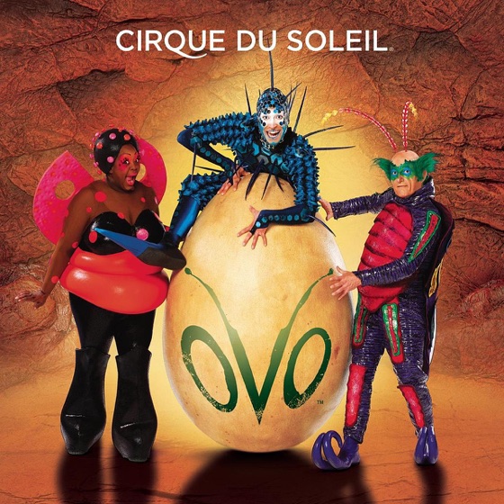 Cover artwork for Brisa Do Mar