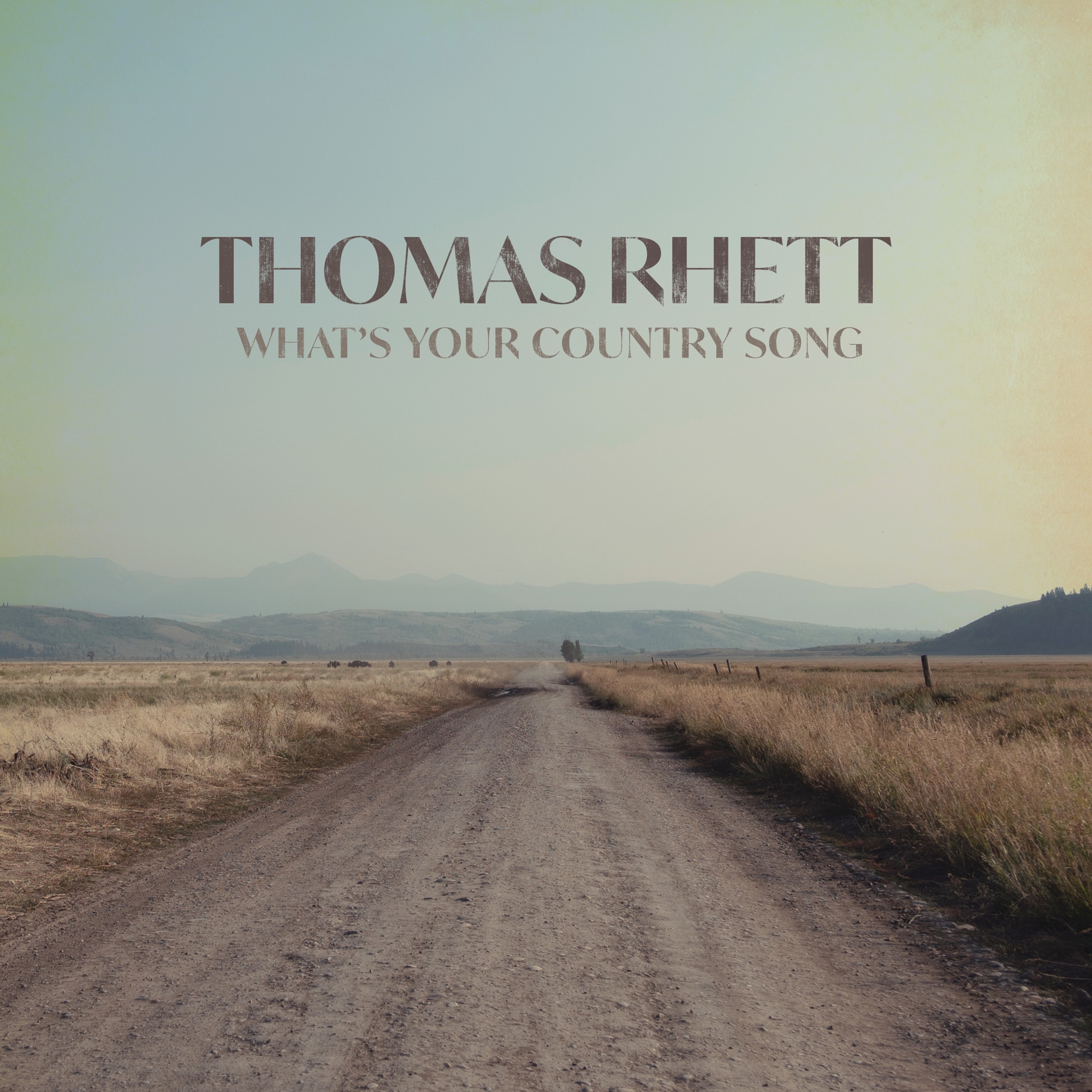 Thomas Rhett - What's Your Country Song - Single