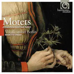 Johann Sebastian Bach: Motets by Vocalconsort Berlin & Marcus Creed album reviews, ratings, credits