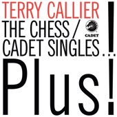 Terry Callier - Hangman
