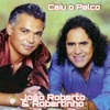 Caiu o Palco - Single