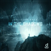 In the Shadows (Extended Mix) artwork