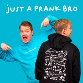 Just A Prank Bro artwork