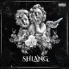 Shlang (feat. LitNova) - Single album lyrics, reviews, download