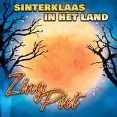 Sinterklaas Is In Het Land artwork