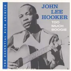 Too Much Boogie - John Lee Hooker