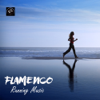 Flamenco Running Music - Spanish Guitar Workout Songs for Running Training Gym Music - Extreme Cardio Workout