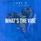 What's the Vibe - Yung P lyrics