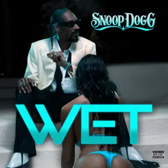 Wet by Snoop Dogg song reviws