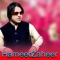 Wraz Pa Wraz Azab Razay - Hameed Zaheer lyrics