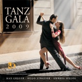 Tanz Gala 2009 artwork