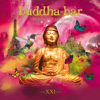 Buddha Bar XXI: Paris, the Origins - Various Artists