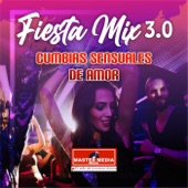 Fiesta Mix 3.0 Cumbias Sensuales de Amor: No Me Arrepiento de Este Amor / el Amor Es Así / Ven a Mi / No Te Vayas artwork