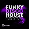 Funky Disco House Grooves, Vol. 15