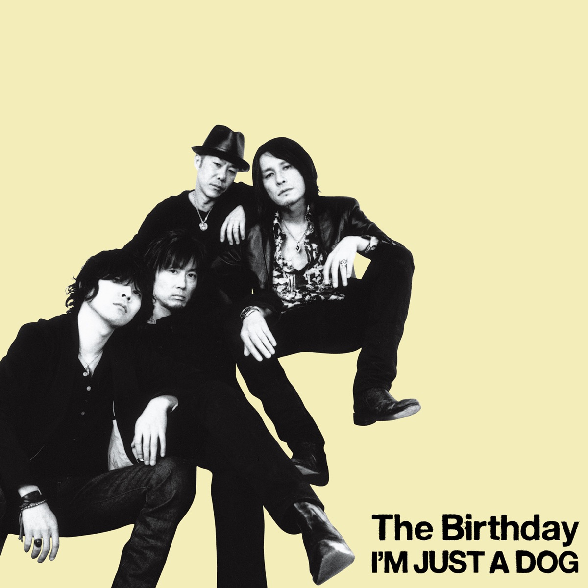 THE BIRTHDAY GOLD TRASH レコード LP アナログ | fitwellbathfitting.com