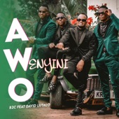 Awo Wenyini (feat. David Lutalo) artwork