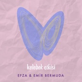 Kelebek Etkisi artwork