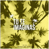 Tu Te Imaginas (Peruvian Version) artwork