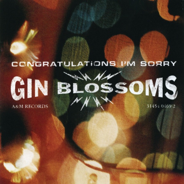 Gin Blossoms - Follow You Down (04:15)