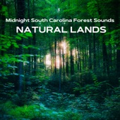 Midnight South Carolina Forest Sounds - Natural Lands artwork