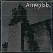 Amygdala - I Hate to Say It
