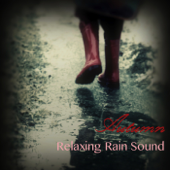 Autumn Relaxing Rain Sound & Relaxing Meditation Music - Relaxing Sounds of Rain and Background Instrumental Music with Nature Sounds, Violin and Flute Music - Relaxing Sounds of Rain Music Club