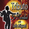 Tributo: La Navidad de Luis Miguel - DCO