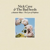 Nick Cave and The Bad Seeds - Nature Boy