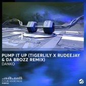 Pump It Up (Tigerlily, Rudeejay & da Brozz Remix) artwork