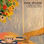 New Druids - LA's on Fire (Again)